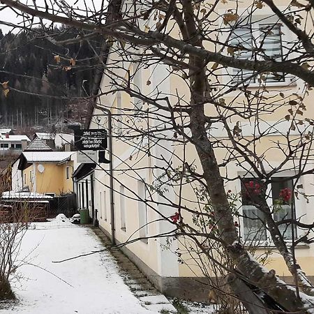 Haus Peter Appartement Murau Buitenkant foto